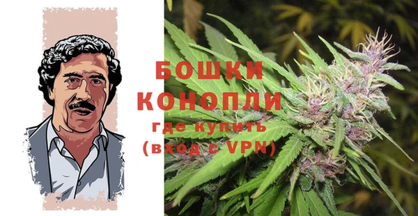 mdma Горнозаводск