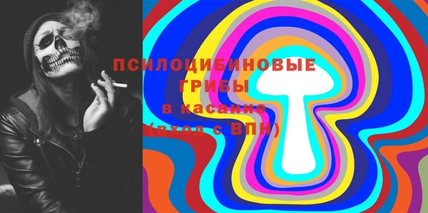 бошки Горняк