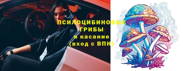 бошки Горняк