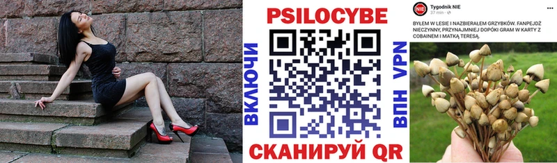 Галлюциногенные грибы Psilocybine cubensis  Купить  Астрахань 